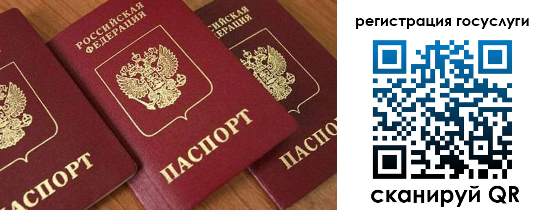 временная регистрация гарантия в Зеленоградске